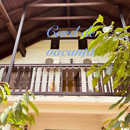 Presidential Apartment Suceava Ngoại thất bức ảnh